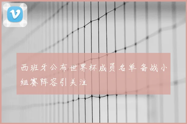 西班牙公布世界杯成员名单 备战小组赛阵容引关注