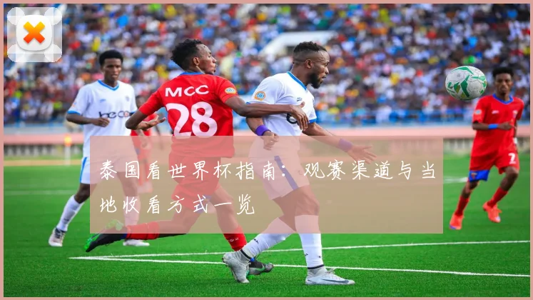 泰国看世界杯指南:观赛渠道与当地收看方式一览