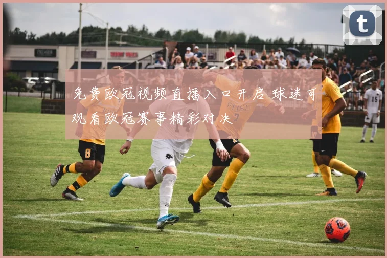 免费欧冠视频直播入口开启 球迷可观看欧冠赛事精彩对决